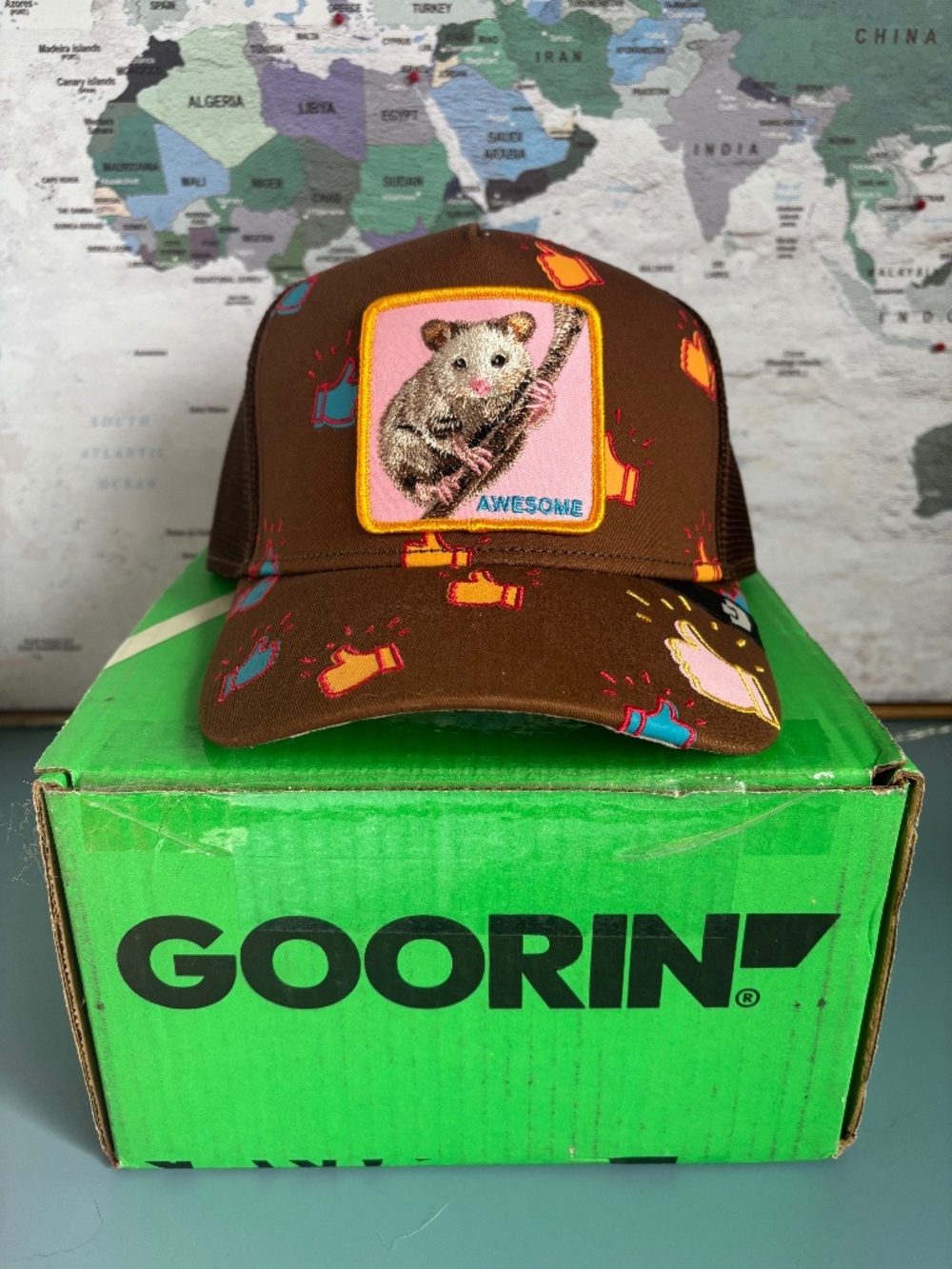 Goorin hats tags on